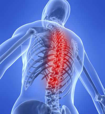 4o Παγκόσμιο Συνέδριο του Bone, Muscles & Joint Diseases